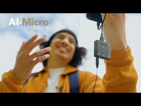 Introducing the AI-Micro